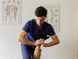 Dr. Stefano Nieddu Osteopata Alghero
