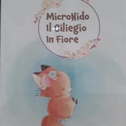 Asilo Nido Comunale Il ciliegio in fiore