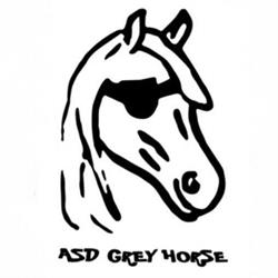 Grey Horse asd