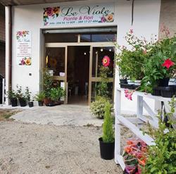 Le Viole