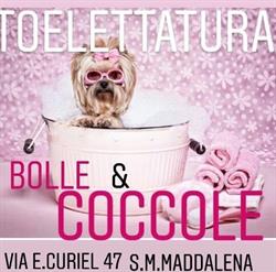 Toelettatura Bolle E Coccole