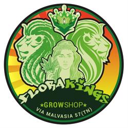 Flora Kings  Grow Shop  Head Shop  Seed Shop  Canapaio Trento