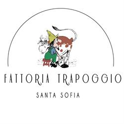 Fattoria Trapoggio
