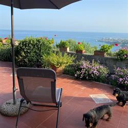 Casa “Geranio” e Casa “Limone”. Relax, privacy e comfort ad Ischia