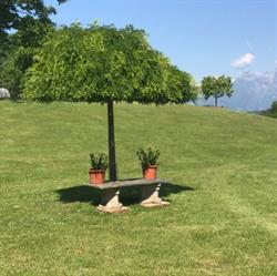 Agriturismo Antico Fienile