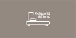I Professionisti del Sonno