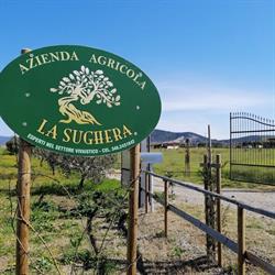 Azienda Agricola La Sughera