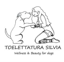 Toelettatura Silvia