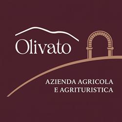 Agriturismo Olivato