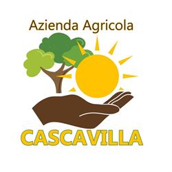 Azienda Agricola Cascavilla