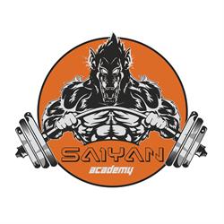 Saiyan Academy