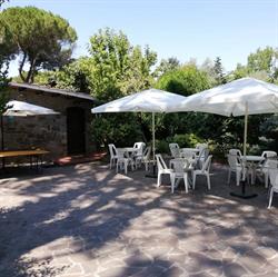 Francy's Garden