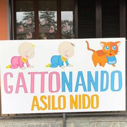 Asilo Nido Gattonando