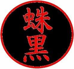Kuro Kumo Ryu Ninjutsu - Ko Shin Kai