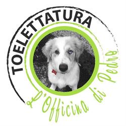Toelettatura l’officina di Pedro