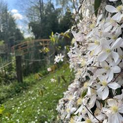 Organizzazione di volontariato La Pica - Giardino Botanico ODV