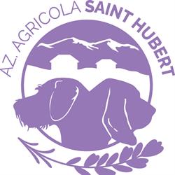 Azienda Agricola Saint Hubert