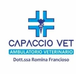 Ambulatorio Veterinario CapaccioVet