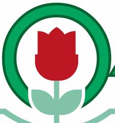 La verde oasi