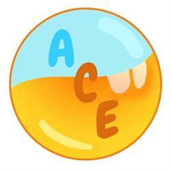 ACE s.r.l