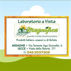 Laboratorio Magnifica quando il LATTE diventa Poesia