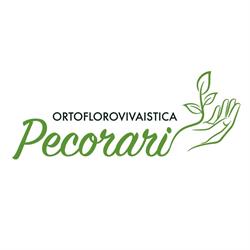 Ortoflorovivaistica Pecorari