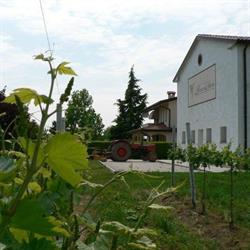 Azienda agricola Vini Rizzetto Dario