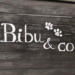 Bibu & co