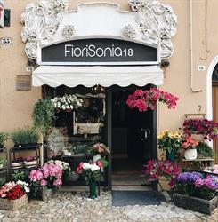 Fiori Sonia 18