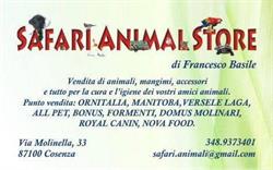 Safari Animal STORE