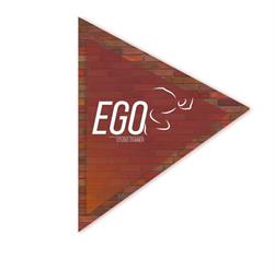 Ego studio trainer