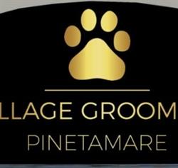 Village Grooming Pinetamare