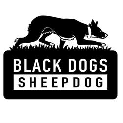 Black Dogs Sheepdog -Saint Mary Kennel