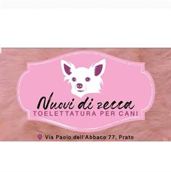 Nuovi di zecca