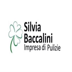Impresa di pulizie Silvia Baccalini