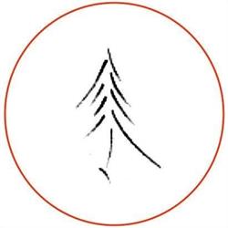 Tree Pilates Studio