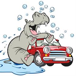 Ippo car wash