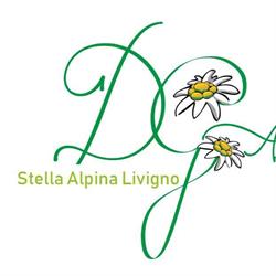 DG Apartments Stella Alpina Livigno