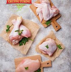 Polleria e surgelati turino