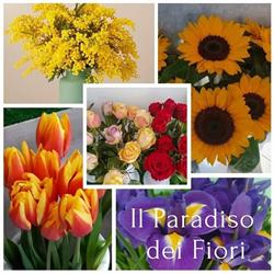 Il Paradiso dei Fiori