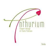 Anthurium