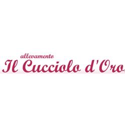 Allevamento Il Cucciolo D'Oro
