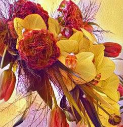 Beautiful Flower