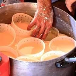 fattoria diddatica su cuile peddio