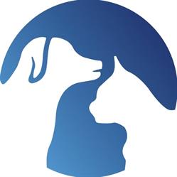 Casa di Cura Veterinaria Dott.Domenico Falciano