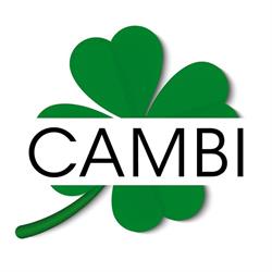 Cambi Group Srl