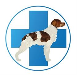 Centro Veterinario San Rocco