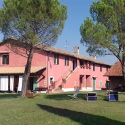 Colle cornetto
