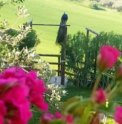 Agriturismo Borgo Antico
