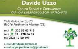 Davide Uzzo - Centro Servizi